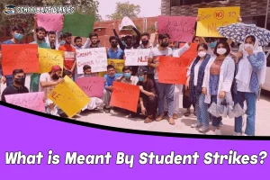 What is Meant By Student Strikes .