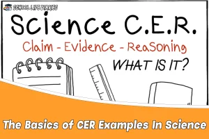 The Basics of CER Examples In Science