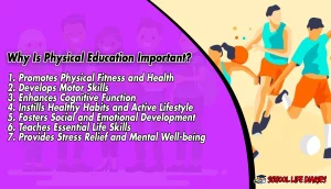 Why Is Physical Education Important