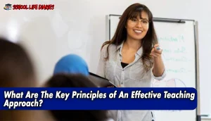 What Are The Key Principles