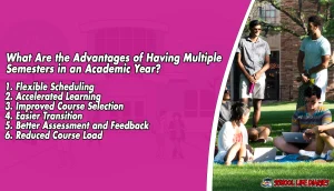 What Are the Advantages of Having Multiple Semesters in an Academic Year