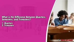 What is the Difference Between Quarters, Semesters, and Trimesters