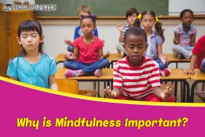 Why is Mindfulness Important