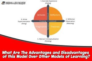 What Are The Advantages and Disadvantages of this Model Over Other Models of Learning