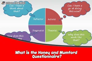 What is the Honey and Mumford Questionnaire