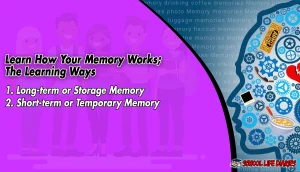 Learn How Your Memory Works