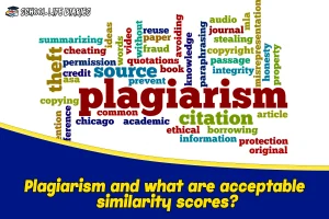 Plagiarism and what are acceptable similarity scores