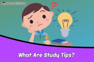What Are Study Tips