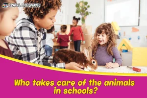 Who takes care of the animals in schools