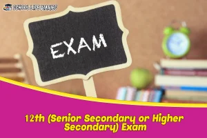 12th (Senior Secondary or Higher Secondary) Exam
