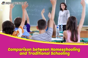 Comparison between Homeschooling and Traditional Schooling