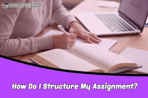 How Do I Structure My Assignment