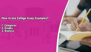 How to Use College Essay Examples