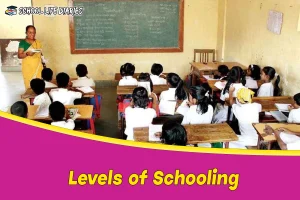 Levels of Schooling