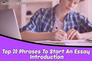 Top 20 Phrases To Start An Essay Introduction
