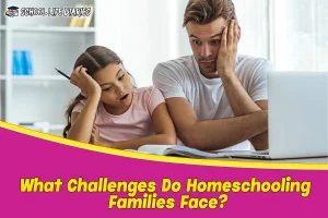 What Challenges Do Homeschooling Families Face