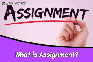 What is Assignment