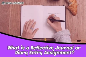 What is a Reflective Journal or Diary Entry Assignment