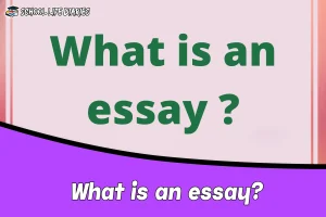 What is an essay