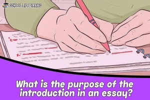 What is the purpose of the introduction in an essay