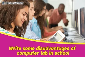 Write some disadvantages of computer lab in school