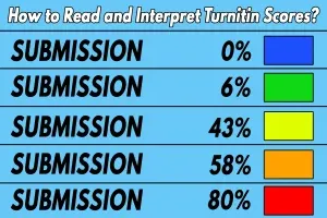 How to Read and Interpret Turnitin Scores