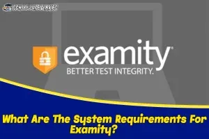 What Are The System Requirements For Examity