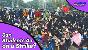 Can Students Go on a Strike
