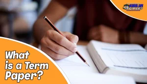 What is a Term Paper?