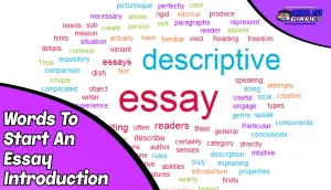 Words To Start An Essay Introduction
